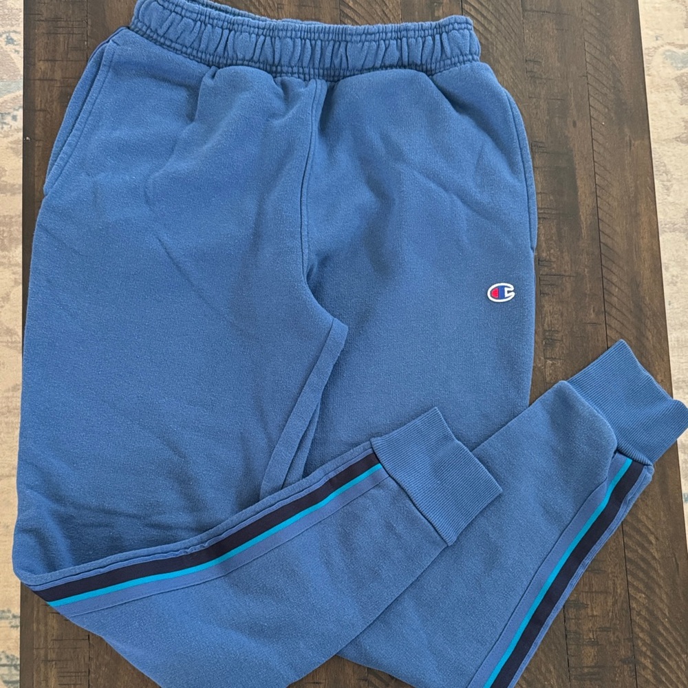 Champion Men’s ' Joggers with Teal and Black Stripes